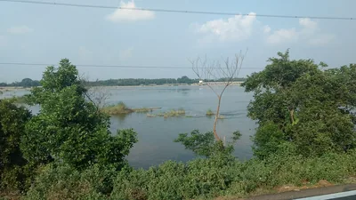 Riverbank with trees and bushes beside a wide sheet of water