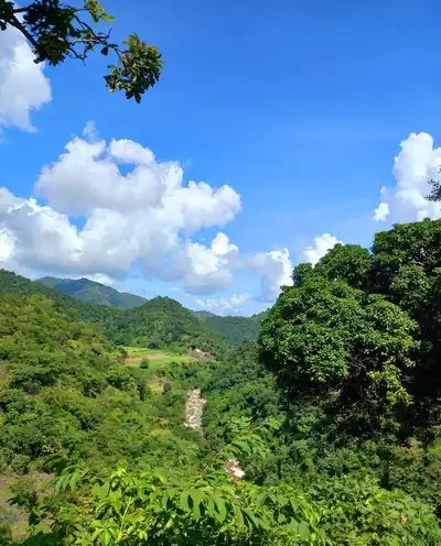 Green forested hills of the Eastern Ghats under a bright blue sky with white clouds