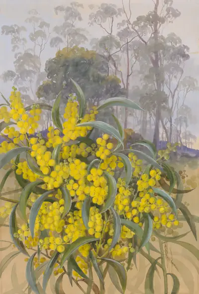 A painting of golden wattle blossoms among gum trees