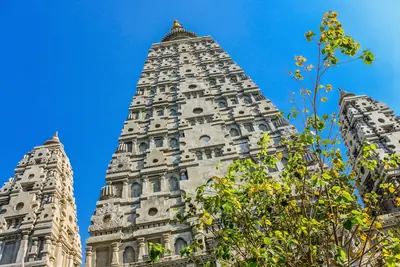 The carved tower of the Mahabodhi Temple at Bodh Gaya against a blue sky