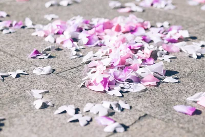 Pink and white paper confetti on the ground