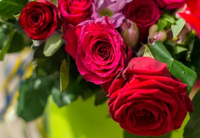 A bunch of red and pink roses