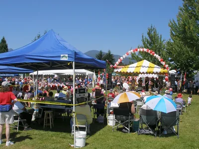 Tents, umbrellas and families on a grassy park for a summer festival