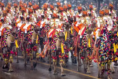 Riders in bright costumes on decorated camels in a parade