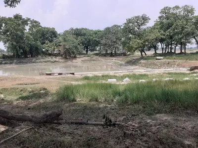 A quiet village pond ringed with trees, with a small ghat at the water