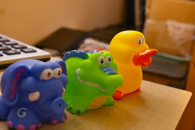 Colourful rubber bath toys with a yellow duck