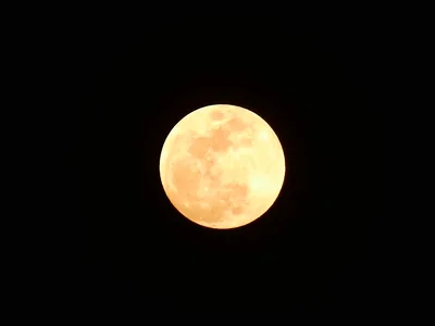 A glowing golden full moon in the dark night sky