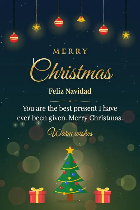 Christmas wishes image: You are the best present I have ever been given. Merry Christmas.