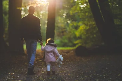 A father and his little daughter walking hand in hand on a forest path in golden light, seen from behind