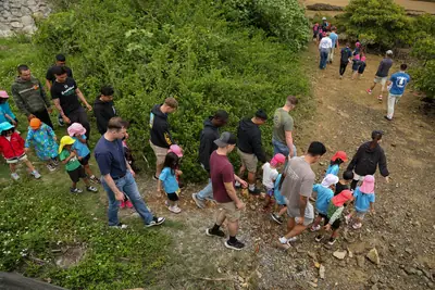 Volunteers climbing a green hillside to pick up litter