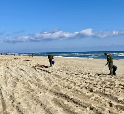 People walking along a sunny beach picking up litter