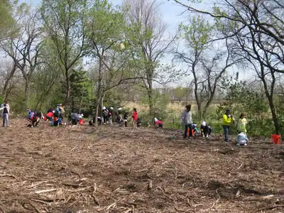 Volunteers planting along a lakeside park