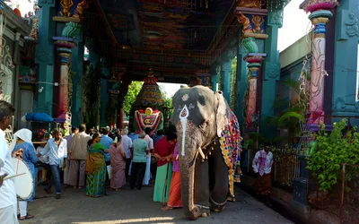 A decorated temple elephant leads a crowd under a painted temple gateway