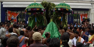Devotees in a crowd follow chariots topped with green and gold umbrellas