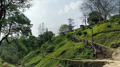 A green hill trail with tall trees at Unakoti in Tripura