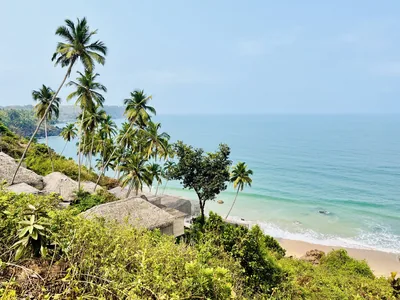 Coconut palms above a turquoise Goan beach