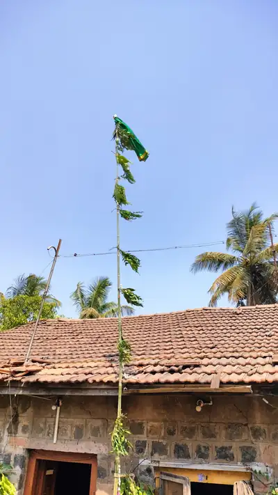 A tall gudi with green silk and neem leaves raised over a tiled village roof
