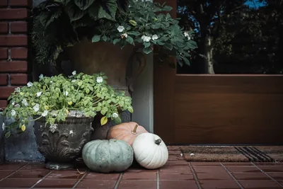 Green, white and orange pumpkins by a front door with potted plants