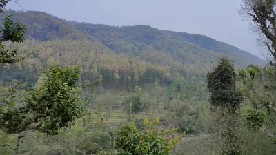 Green forested hills and terraced slopes in the monsoon