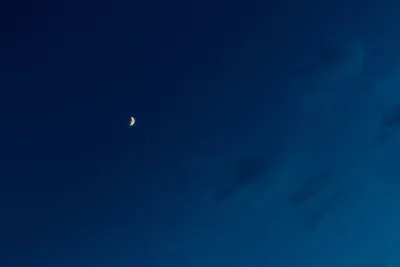 A thin new crescent moon in a deep blue evening sky