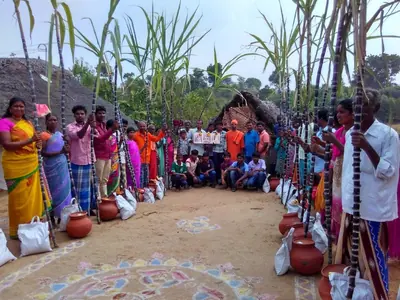 Villagers standing around rows of clay pots and a coloured kolam under sugarcane arches