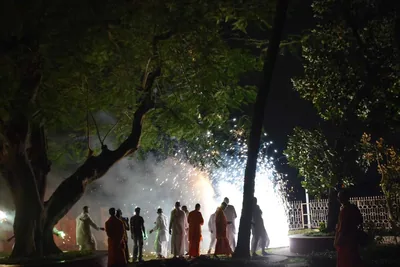 Sparklers and fireworks light up a garden at night as people watch