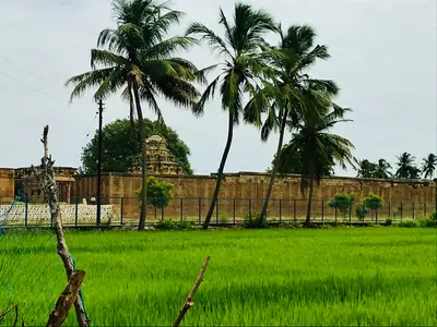 A stone temple with a small tower behind green paddy fields and coconut palms