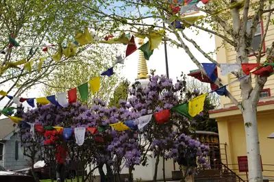 Fresh prayer flags hang over trees in bloom