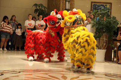 Red and yellow lion dance costumes performing in a hall