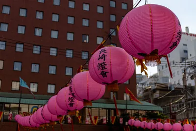 Pink paper lanterns hanging above a city street