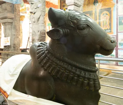 A large black stone Nandi bull with a carved collar inside a temple