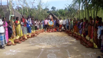 Rows of clay pots set in a circle around a large white kolam, with sugarcane standing behind
