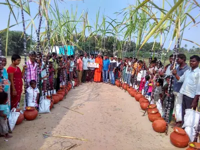 A long line of clay pots on both sides of a sandy path lined with sugarcane