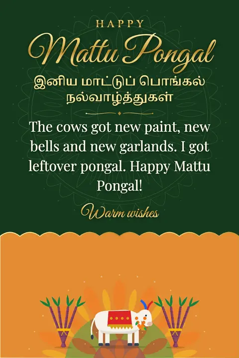 Mattu Pongal wishes image: The cows got new paint, new bells and new garlands. I got leftover pongal. Happy Mattu Pongal!
