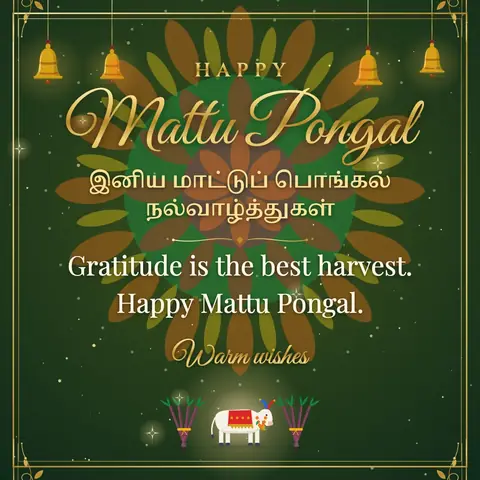 Mattu Pongal wishes image: Gratitude is the best harvest. Happy Mattu Pongal.