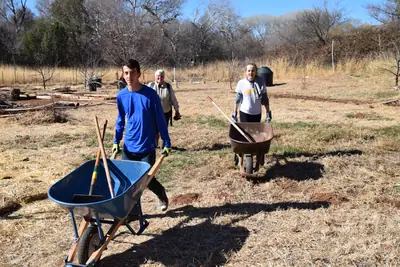 Men working together with spades and wheelbarrows to clear a field