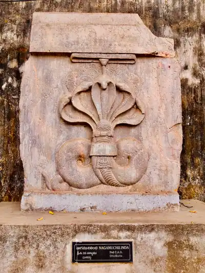 A stone slab carved with a coiled serpent with many hoods