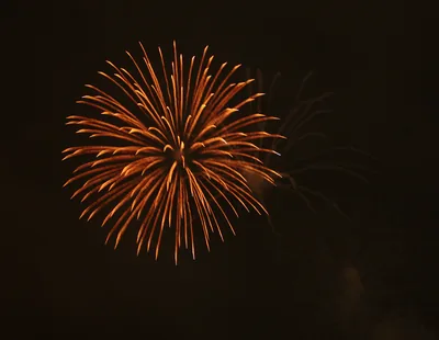 A golden firework spreading across the dark sky