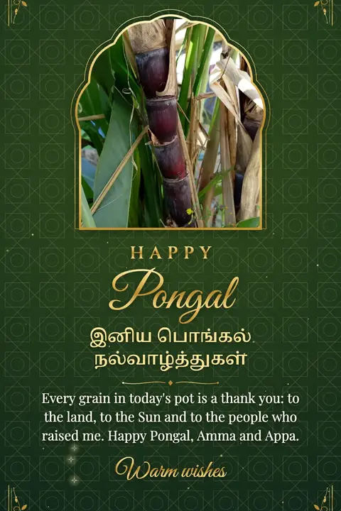 Pongal wishes image: Every grain in today's pot is a thank you: to the land, to the Sun and to the people who raised me. Happy Pongal, Amma and Appa.