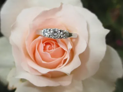 A diamond ring resting on a peach rose