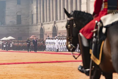 A rider of the Presidents Bodyguard on a dark horse before rows of guards in white