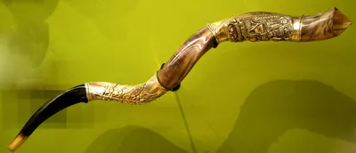A polished shofar, a ram's horn with a gold tip, on a green background
