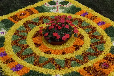 A ground design of yellow, orange and green flower petals around a pot of red flowers