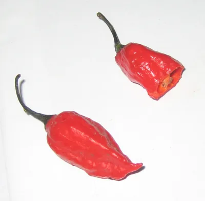 Bright red Naga king chillies, a taste of Nagaland