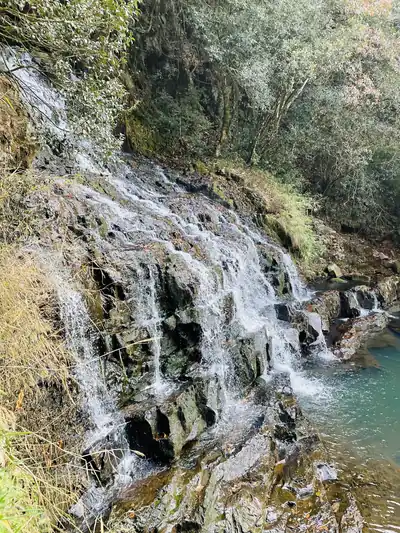 Elephant Falls near Shillong flowing over dark rocks into a green pool
