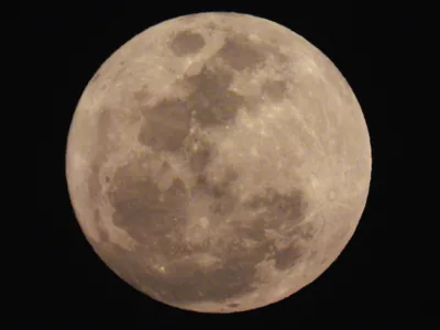 A bright full moon in a dark sky, its craters clearly seen