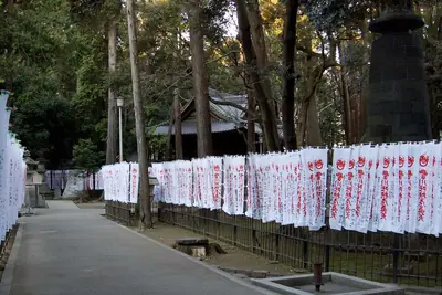 A row of white and red banners along a forest path