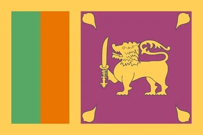 The lion flag of Sri Lanka in maroon, gold, green and orange