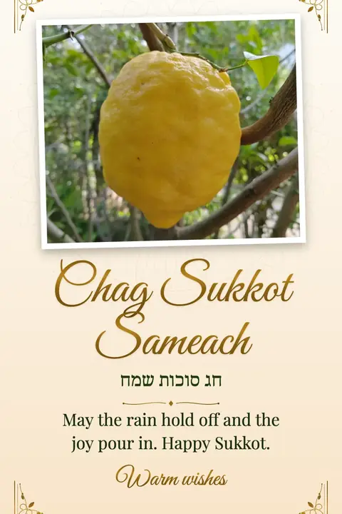 Sukkot wishes image: May the rain hold off and the joy pour in. Happy Sukkot.