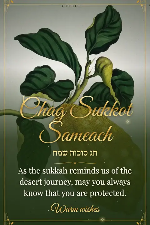 Sukkot wishes image: As the sukkah reminds us of the desert journey, may you always know that you are protected.
